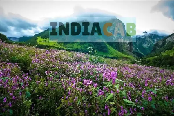 Mumbai to Boisar taxi