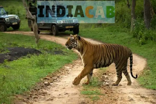 Mumbai to Murbad taxi