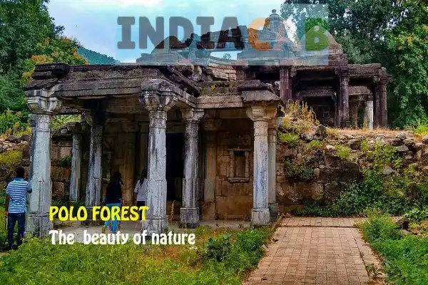 Mumbai to Shirpur-maharashtra taxi